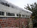 Picture 008